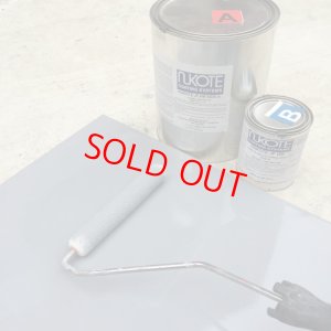 画像2: NUKOTE ポリウレア JF-HM（3.8Lセット）